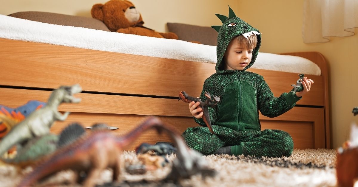 Dinosaur Bedroom Ideas for Boy Toddlers