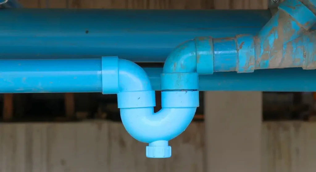 1. Dry P-Trap — The #1 Cause