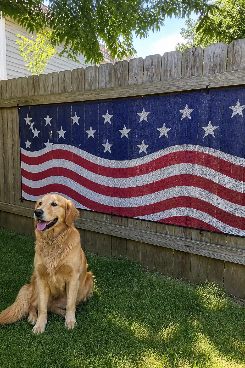 4th of July Outdoor Decorations for Dog Owners: 9 Pet-Friendly Ideas 5 Item 5