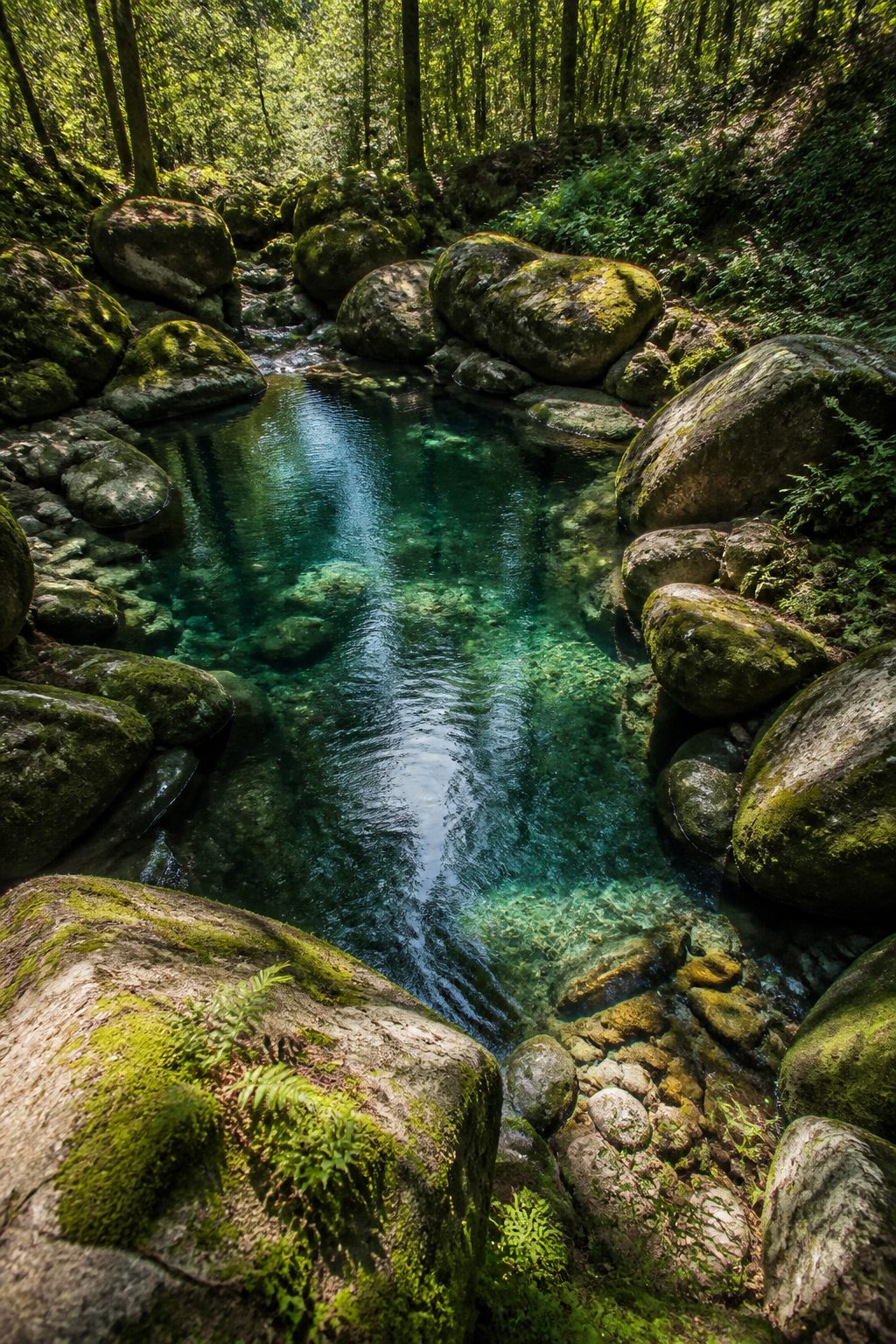 10 DIY Natural Pool Ideas That Blend with Your Landscape Beautifully 1 Item 1
