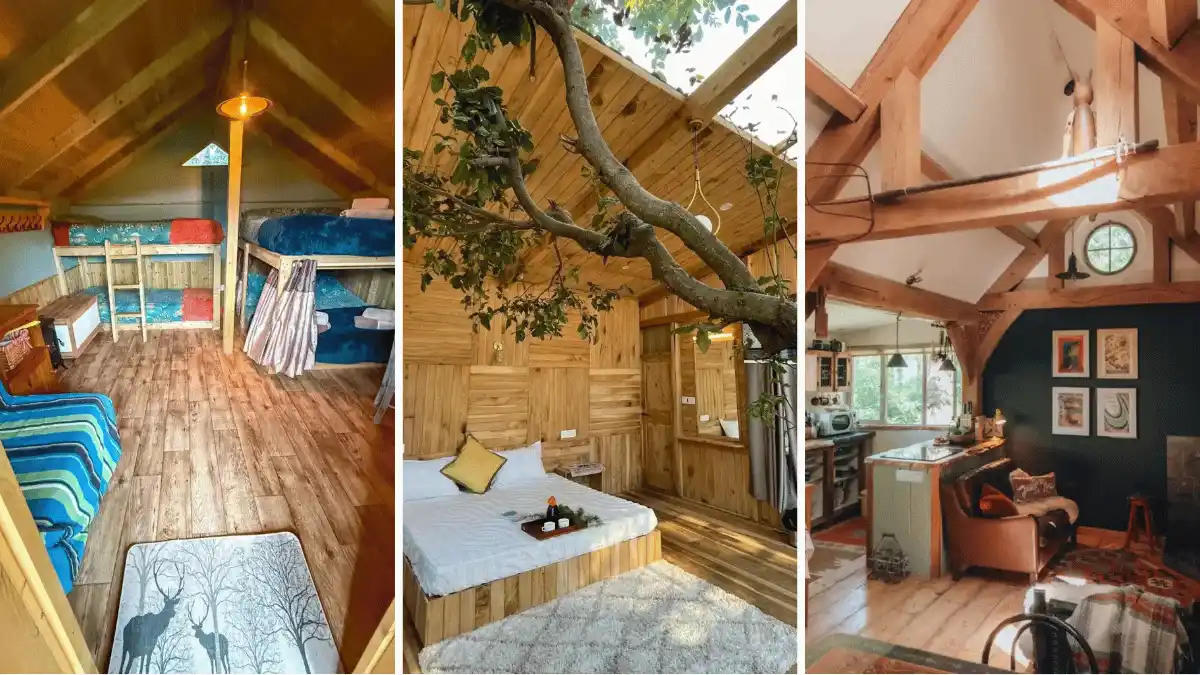 Small Treehouse Interior Ideas