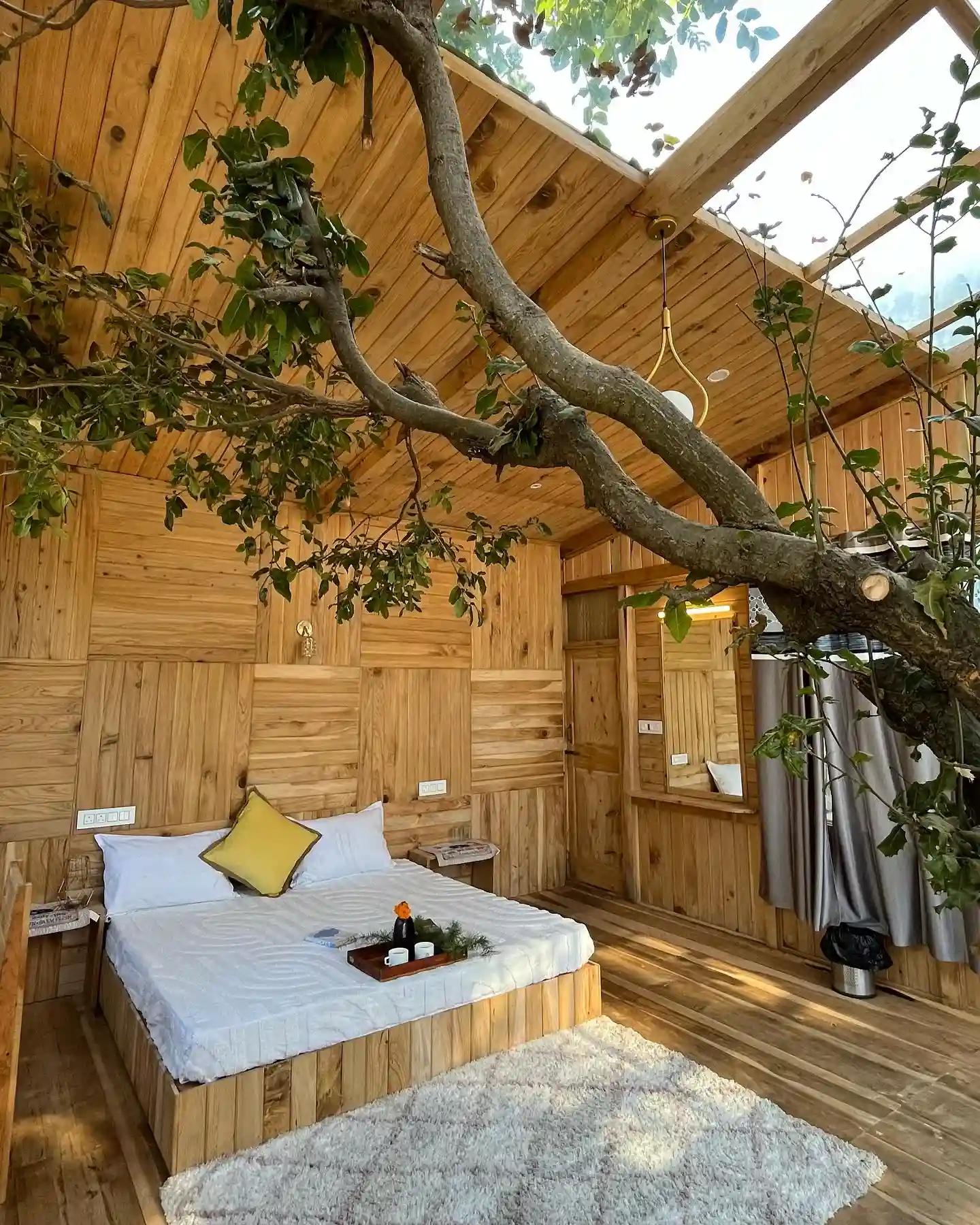 6. A Living Branch Becomes the Ceiling Art